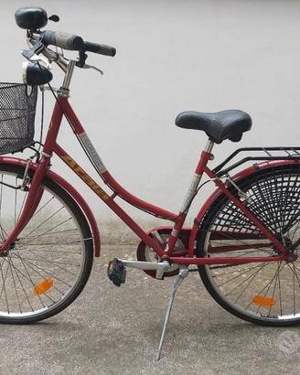Atala mod college 26"