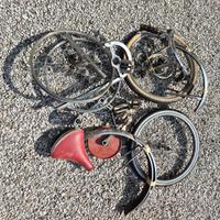 lotto Graziella carnielli