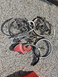 lotto Graziella carnielli