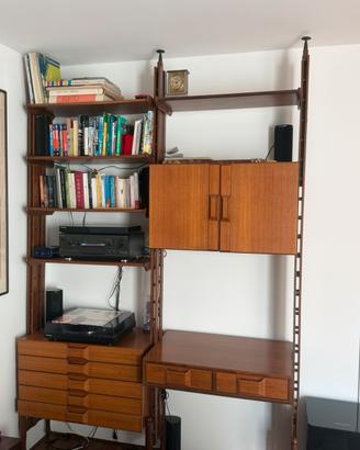 Libreria anni ‘50 stile Albini palissandro