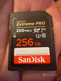 SD card 256GB