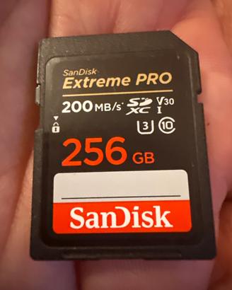 SD card 256GB