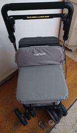 Carrello spesa