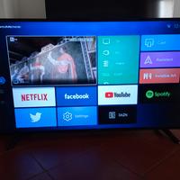 TV Nordmende 55" perfettamente funzionante