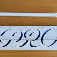 Apple Pencil Pro (2025)