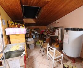 Trilocale a Rimini