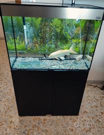 Acquario Ciano Emotions Nature 120 con Filtro 