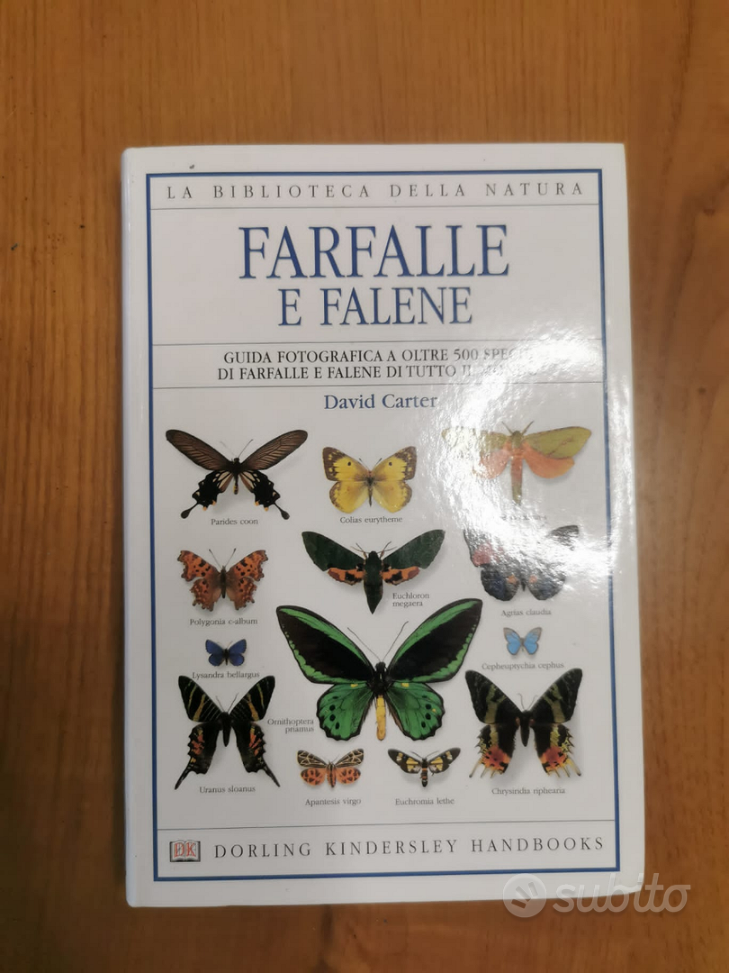 Libro sulle farfalle e falene - Libri e Riviste In vendita a Perugia
