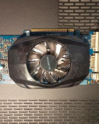 Scheda video GTS 450 Nvidia 