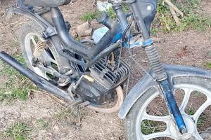 Malaguti fyfty 50 hf