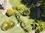 Immagine 24
