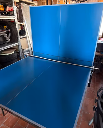 Tavolo da ping pong
