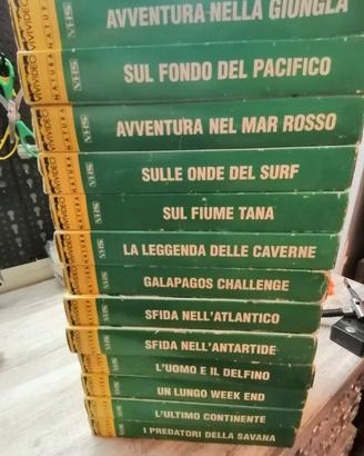 Lotto 13 VHS Vivivideo Natura originali anni 80