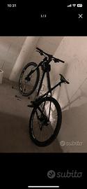cannindale carbon F29 fsi (taglia L)