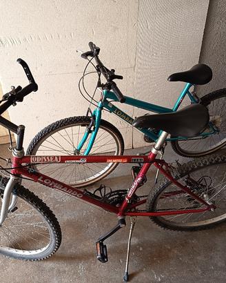 biciclette 