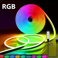 Striscia Neon Rgb 5 Metri