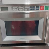 Microonde professionale 