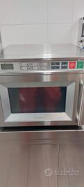 Microonde professionale 