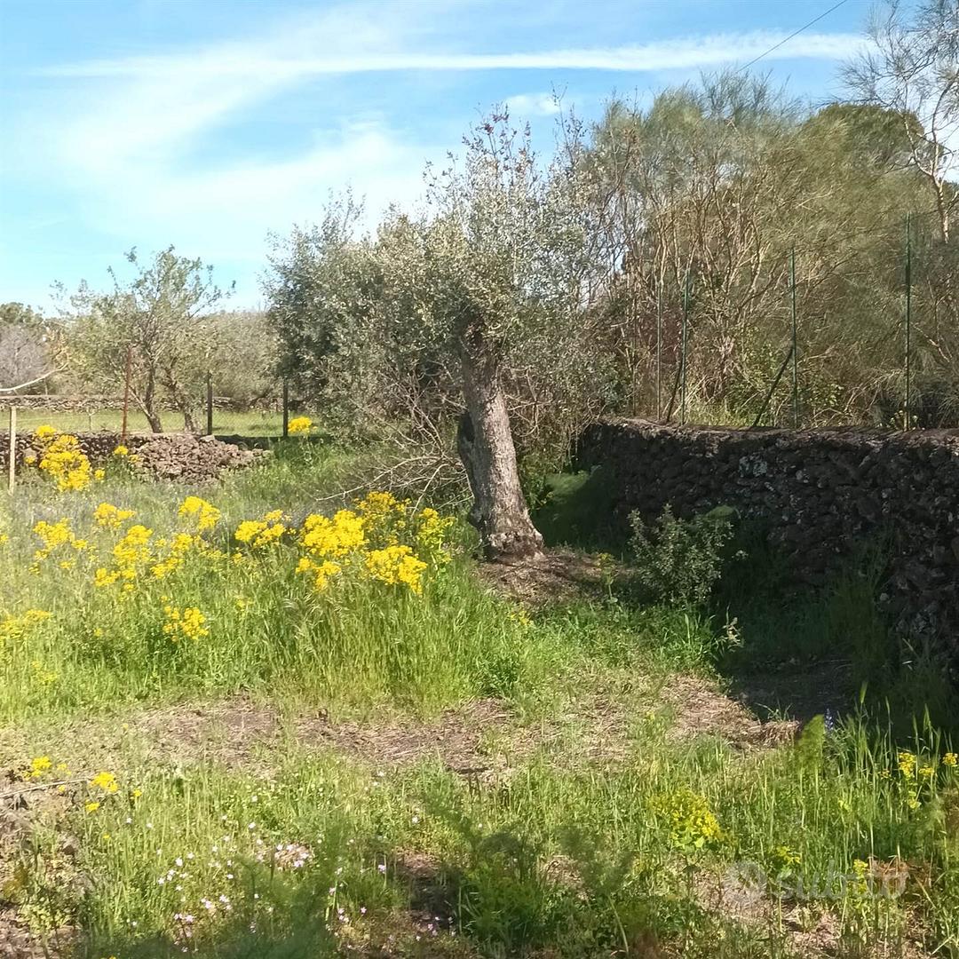 Rif.FF41| terreno agricolo belpasso - Altro