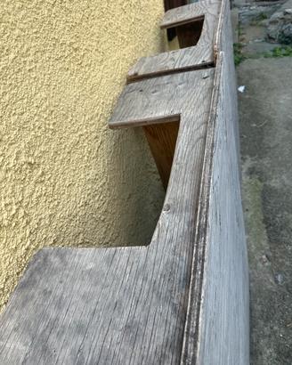 Sala Parto per cani