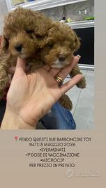 Barboncini toy