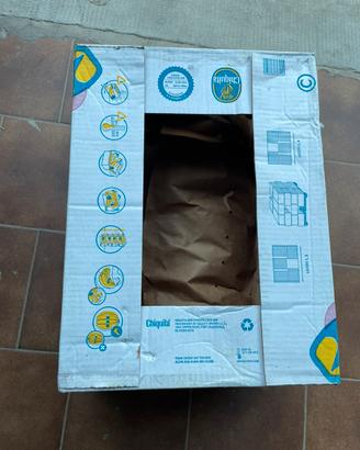 Scatoloni banane con coperchio