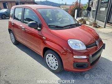 FIAT Pandina PANDA MY26 1.0 65CV HYBRID ICON