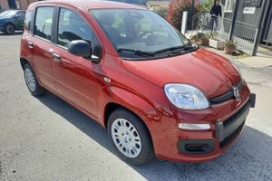 FIAT Pandina PANDA MY26 1.0 65CV HYBRID ICON