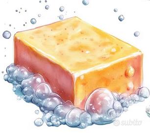 PULIZIE (mi sposto in auto facilmente)