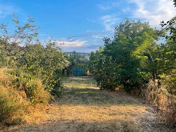 Terreno con casetta e alberi da frutto
