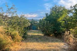 Terreno con casetta e alberi da frutto