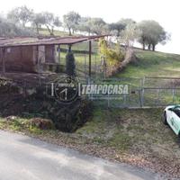 Ampio terreno agricolo con ulivi e annesso