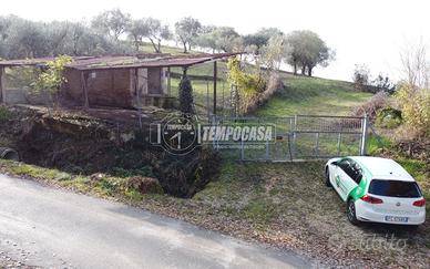 Ampio terreno agricolo con ulivi e annesso