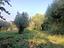 Immagine 13