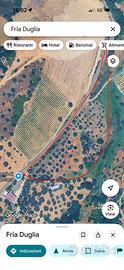 Terreno agricolo con uliveto