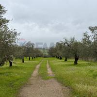 Terreno - Chiaramonte Gulfi