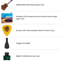 Chitarra Acustica Ibanez AW54-OPN + Kit Completo