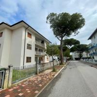 Appartamento piano terra con area esterna esclu...