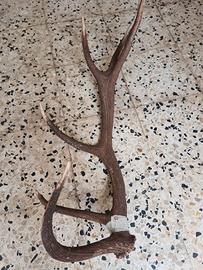 cimelio, portalampada, pacchi cervi 