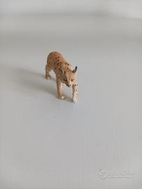 Animale.