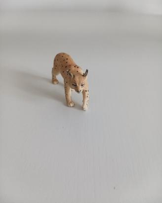 Animale.