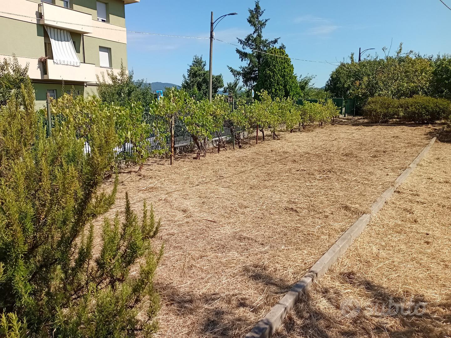 Terreno agricolo - Vista 2