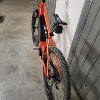 Mtb con pedalata assistita