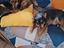 Immagine 2