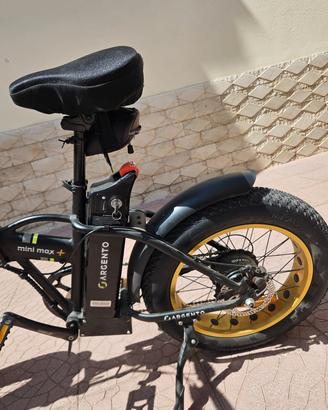 Bici elettrica
