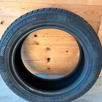 Gomme Invernali 225/55/r18