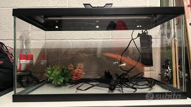 60l Aquarium 