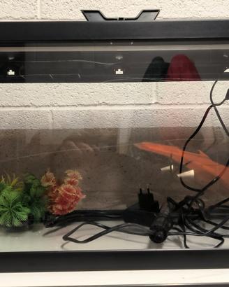 60l Aquarium 