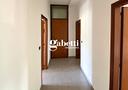 stabile-palazzo-conselve-cod-rif-0629231049vrg-