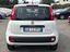 Immagine 4
